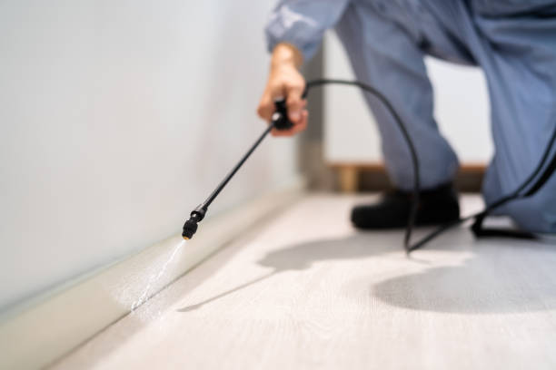 Licensed Fumigation Services service in Federalsburg, MD - Nex Pest Control